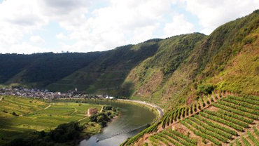 The Terrassen Mosel, or terraced section of the Mosel Valley that is home to Clemens Busch and Heymann-Löwenstein (Photo credit: Stuart Pigott)