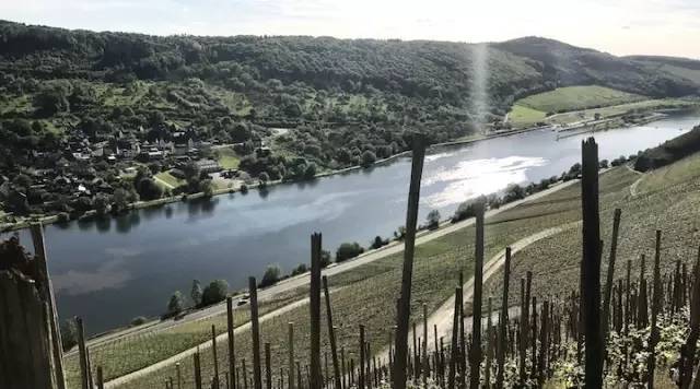 mosel