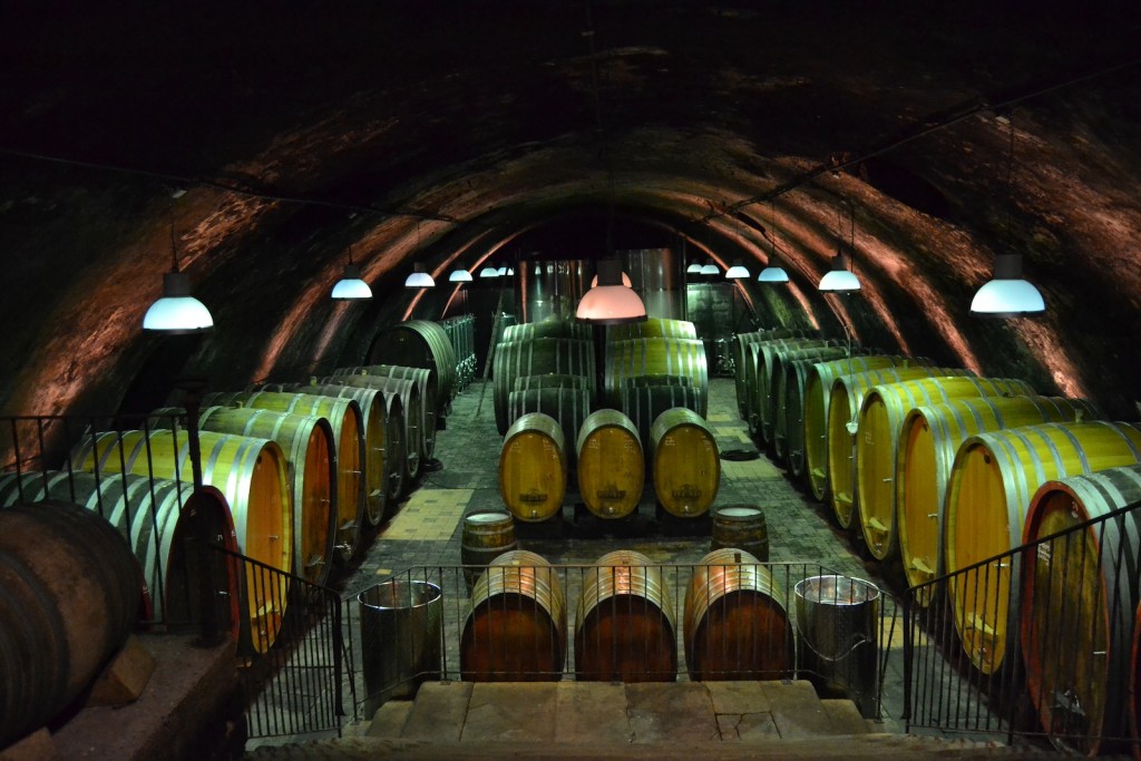 The barrel cellar at the Wittmann estate in Westhofen