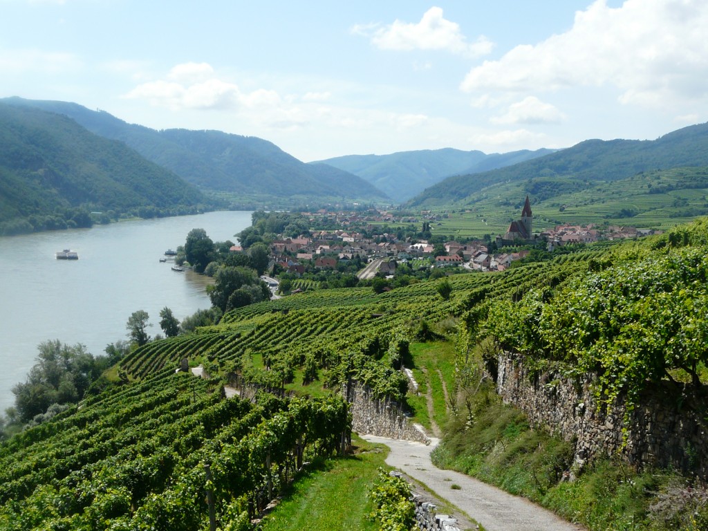 Wachau 0810 125