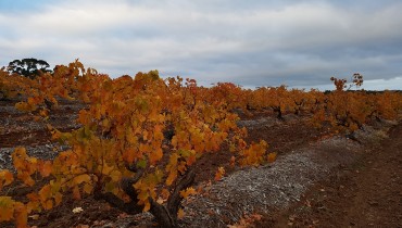 Australian wines James Suckling