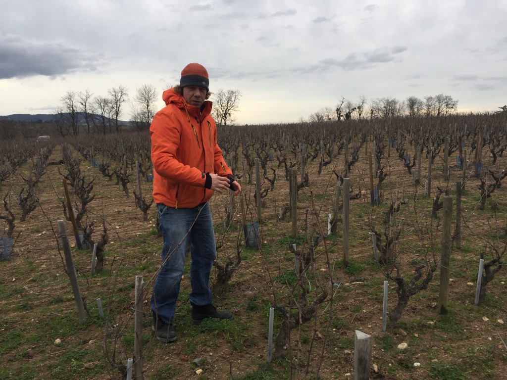 Mathieu Lapierre Beaujolais James Suckling