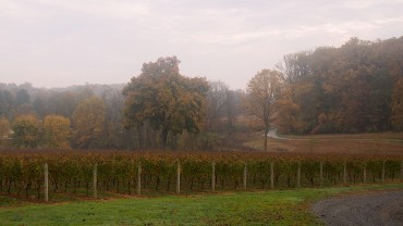 wine Pennsylvania