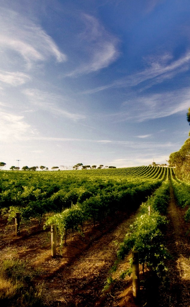 Clare Valley