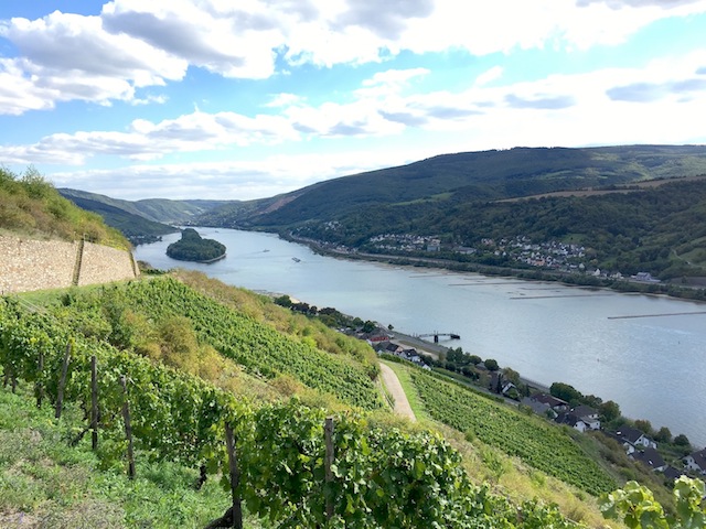 These steep slopes overlook the town of Lorch in the Rheingau. where Eva Fricke made a string of the best 2017 dry and sweet rieslings for the region