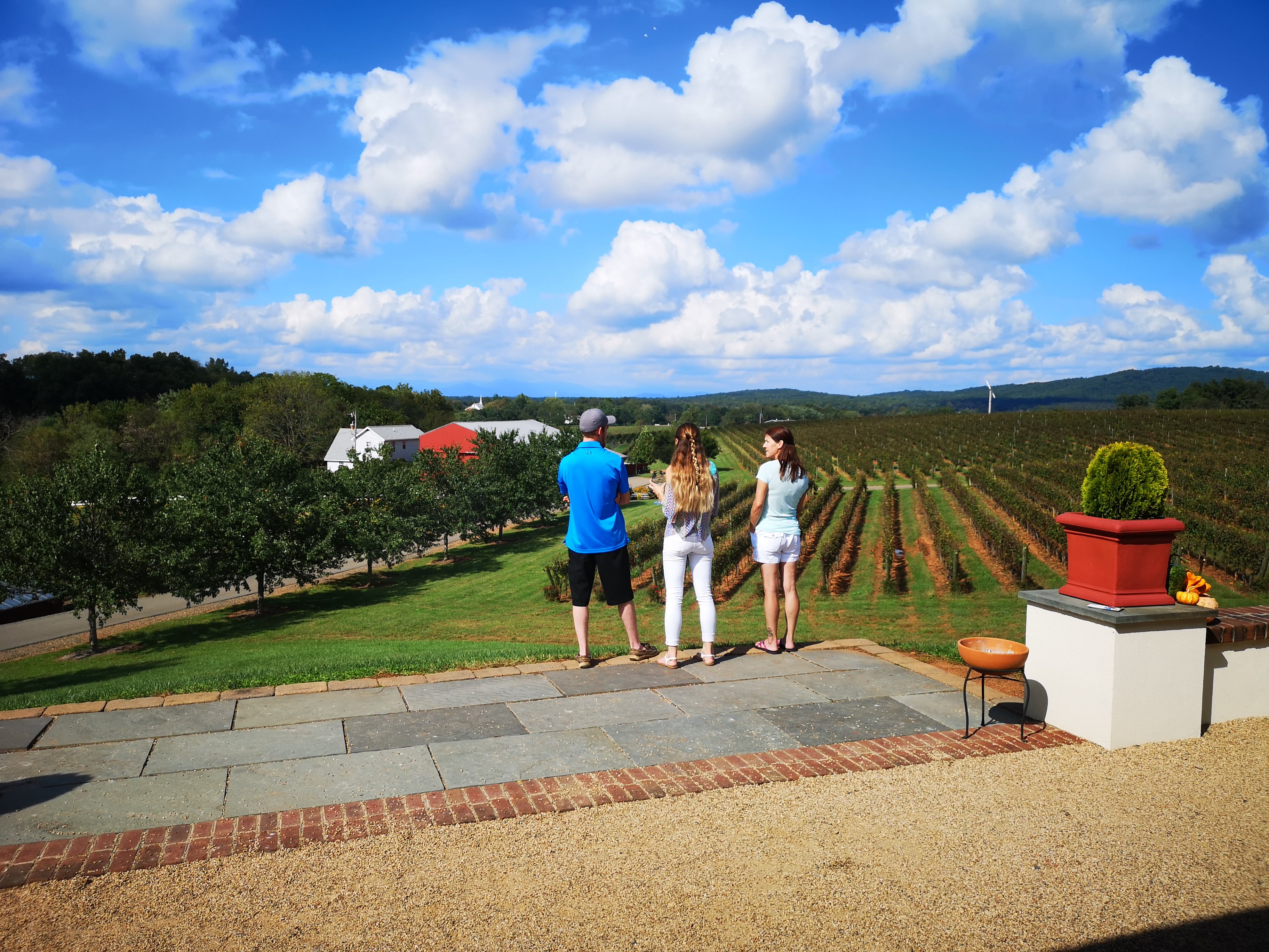 Barboursville Vineyards in Virginia is in our Top 100 American Wines list at No. 95 with its Bordeaux blend the Barboursville Vineyards Virginia Octagon 2016.