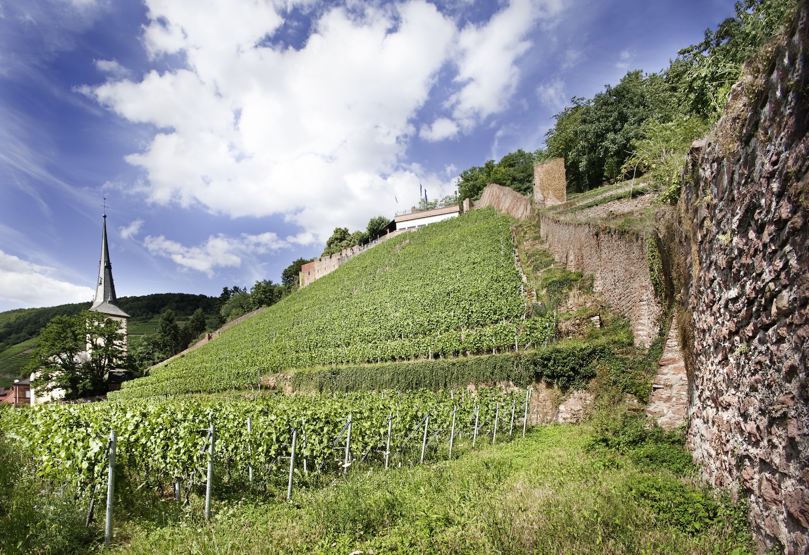 Schlossberg winery