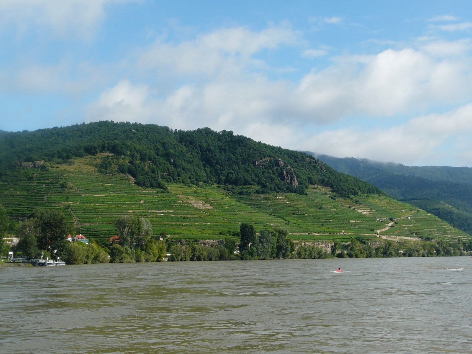 The steep terraced vineyards of the Wachau in the Danube Valley, in this case the Achleiten and Klaus sites of Weissenkirchen