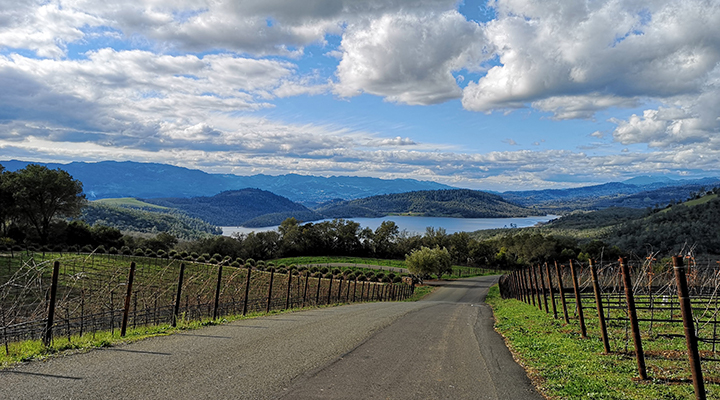 2019 wine travel log #5: Napa Valley