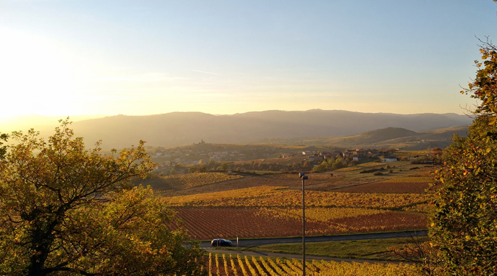 Beaujolais