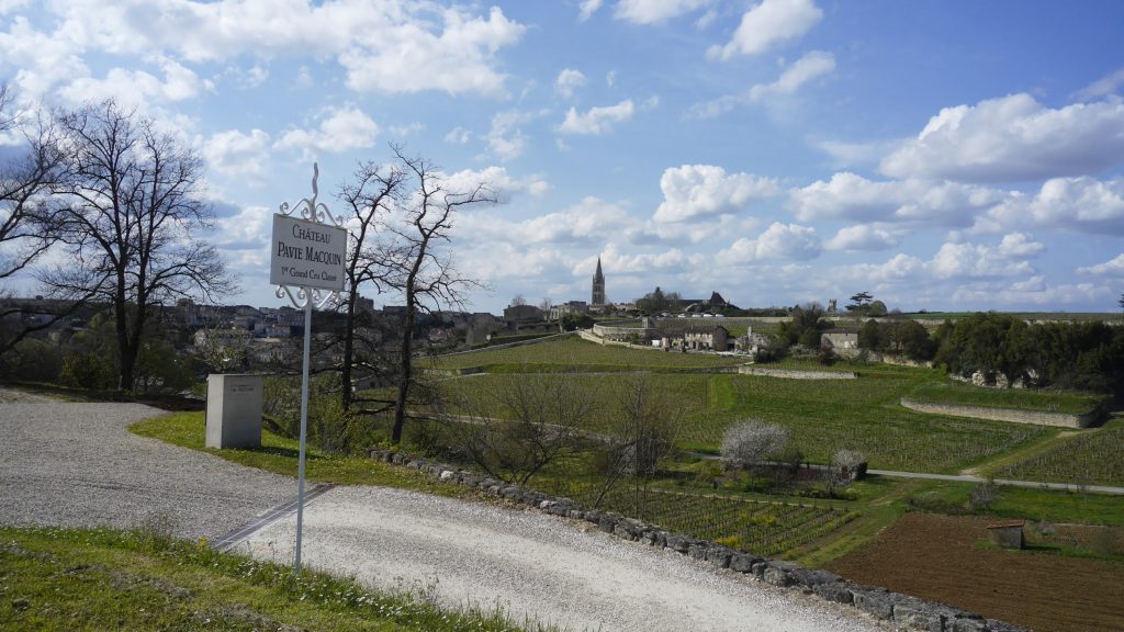 winery Chateau Pavie Macquin,