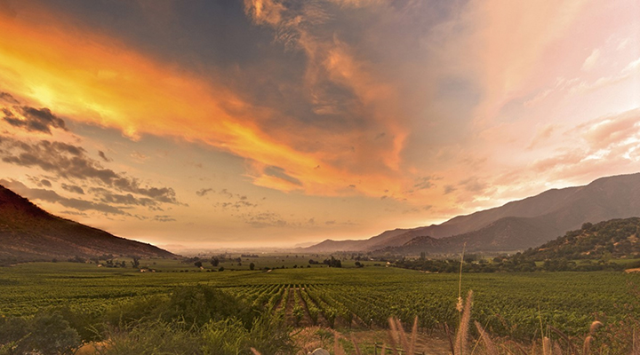 Chile’s tale of two cities: 1,200+ wines reviewed