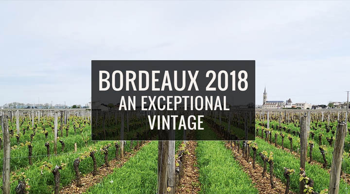 Bordeaux 2018: An Exceptional Vintage