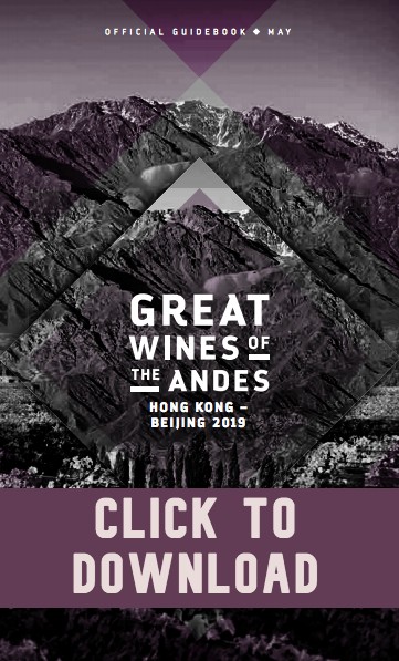 GREAT WINES ANDES Guidebook COVER