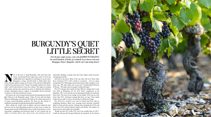 Prestige Report: Burgundy’s Quiet Little Secret Is Beaujolais