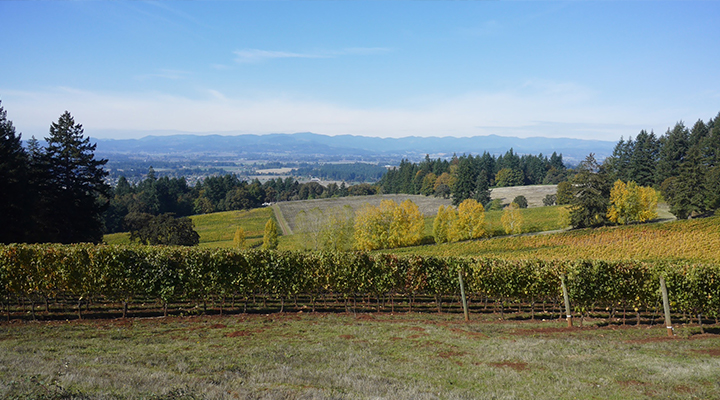 Oregon’s best and brightest offer great pinots and chardonnays