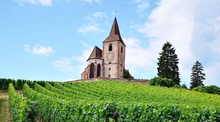 Is the future for Alsace red or white?