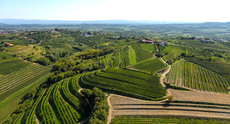 Small tasting of Slovenian wines uncovers some bold, stylish bottles