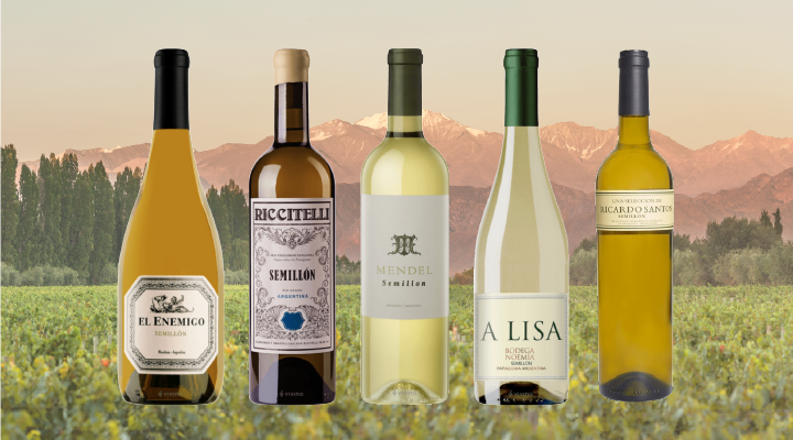 Great Value Wines: 5 Top Argentine Dry Semillons for Less than $40