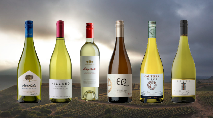 $15 bottles that taste like $50: Chilean sauvignon blanc