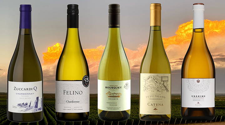 $15 wines that taste like $50: Argentine chardonnay