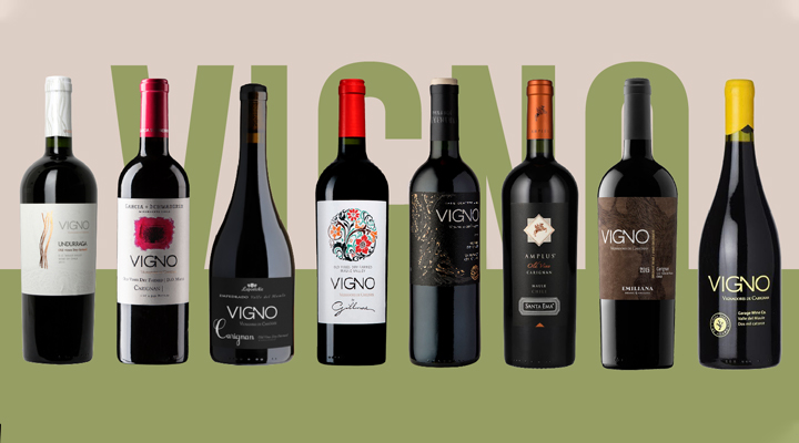 Great Value Wines: 8 Chilean carignans for under $40