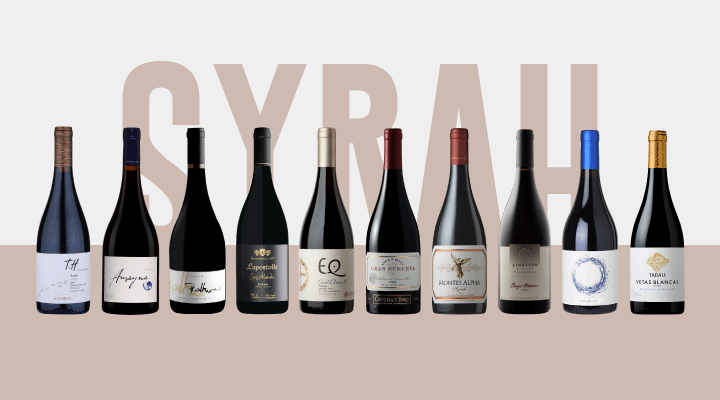 Great Value Wines: Chilean Syrah under $35