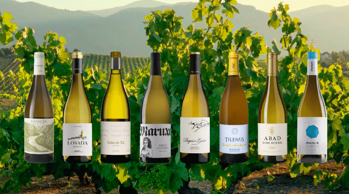 $15 wines that taste like $50: 2018 godello