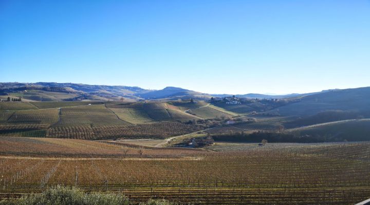 Piedmont Shines with Releases, Especially Barolo 2016