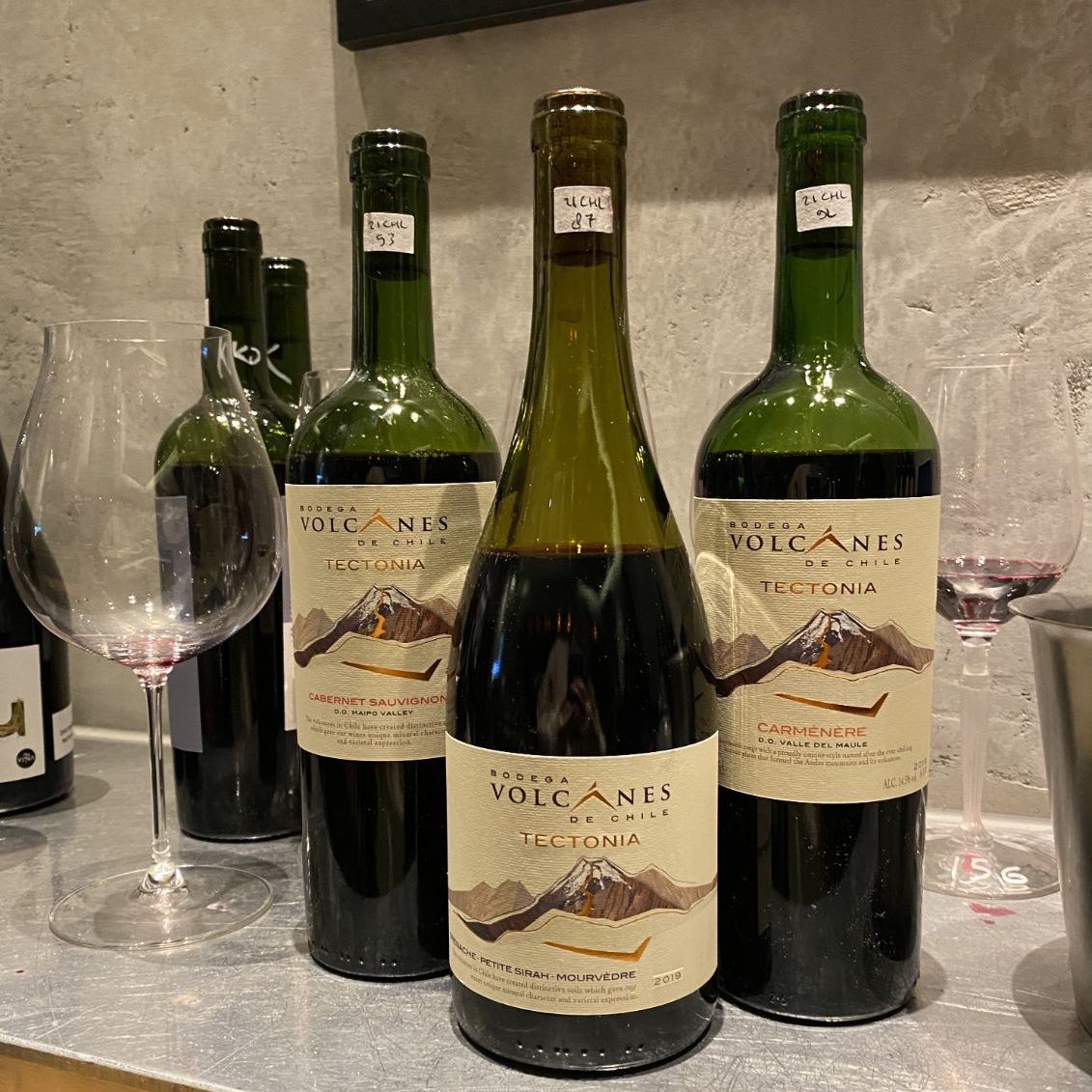 Bodega Volcanes' wines come from vineyards that contain volcanic soils, which add a unique minerality, among other characteristics.