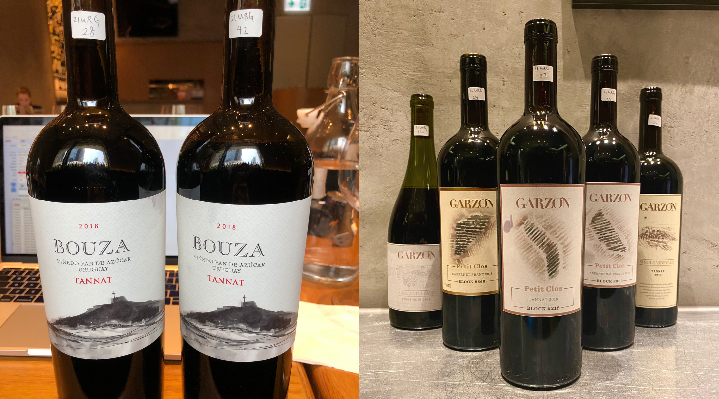 Taming the Tannat: Uruguayan Wine Gets a Makeover