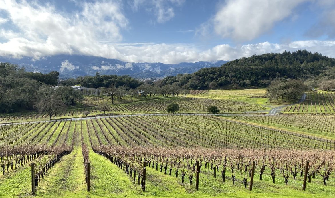 Weekly Tasting Report (Nov 16-22, 2021): Aubert’s Supreme Chards, a Sensational Kiwi Pinot and Awesome Amarones