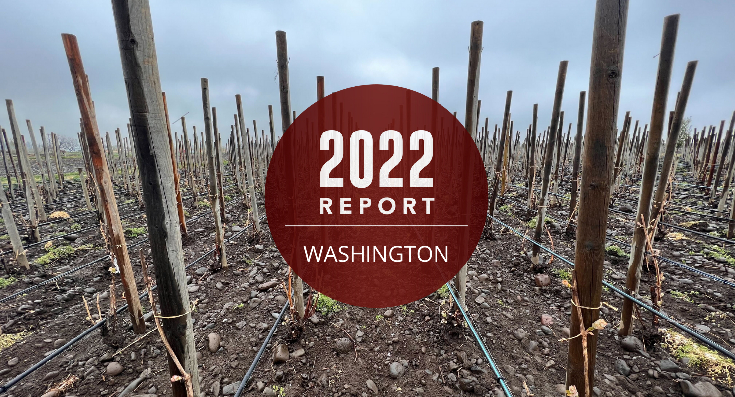 Washington State Annual Report: A Cascade of Choice, Untapped Potential and an Apex Syrah