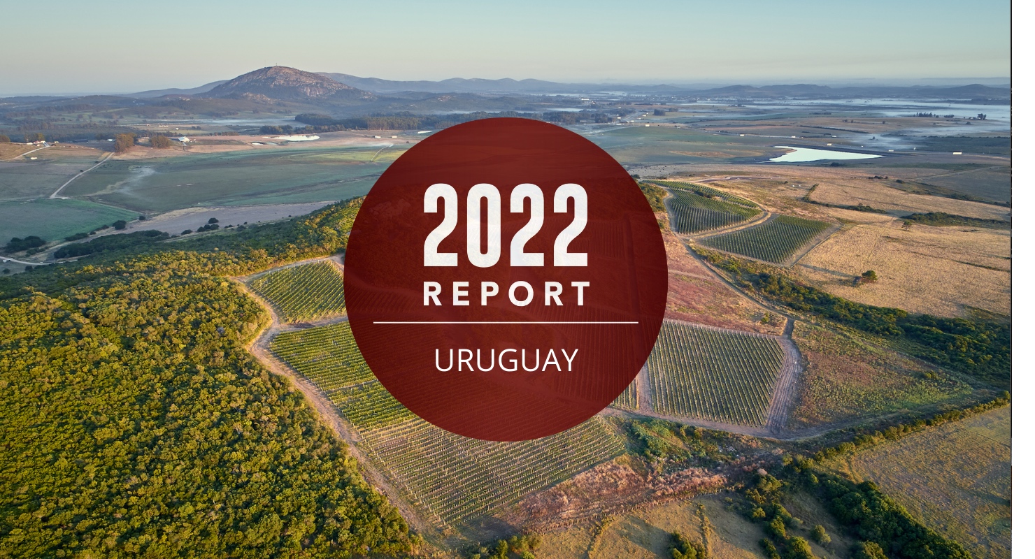 Uruguay Annual Report: As Zesty Albariño Rises, Tannat Embraces Its Fresh Side