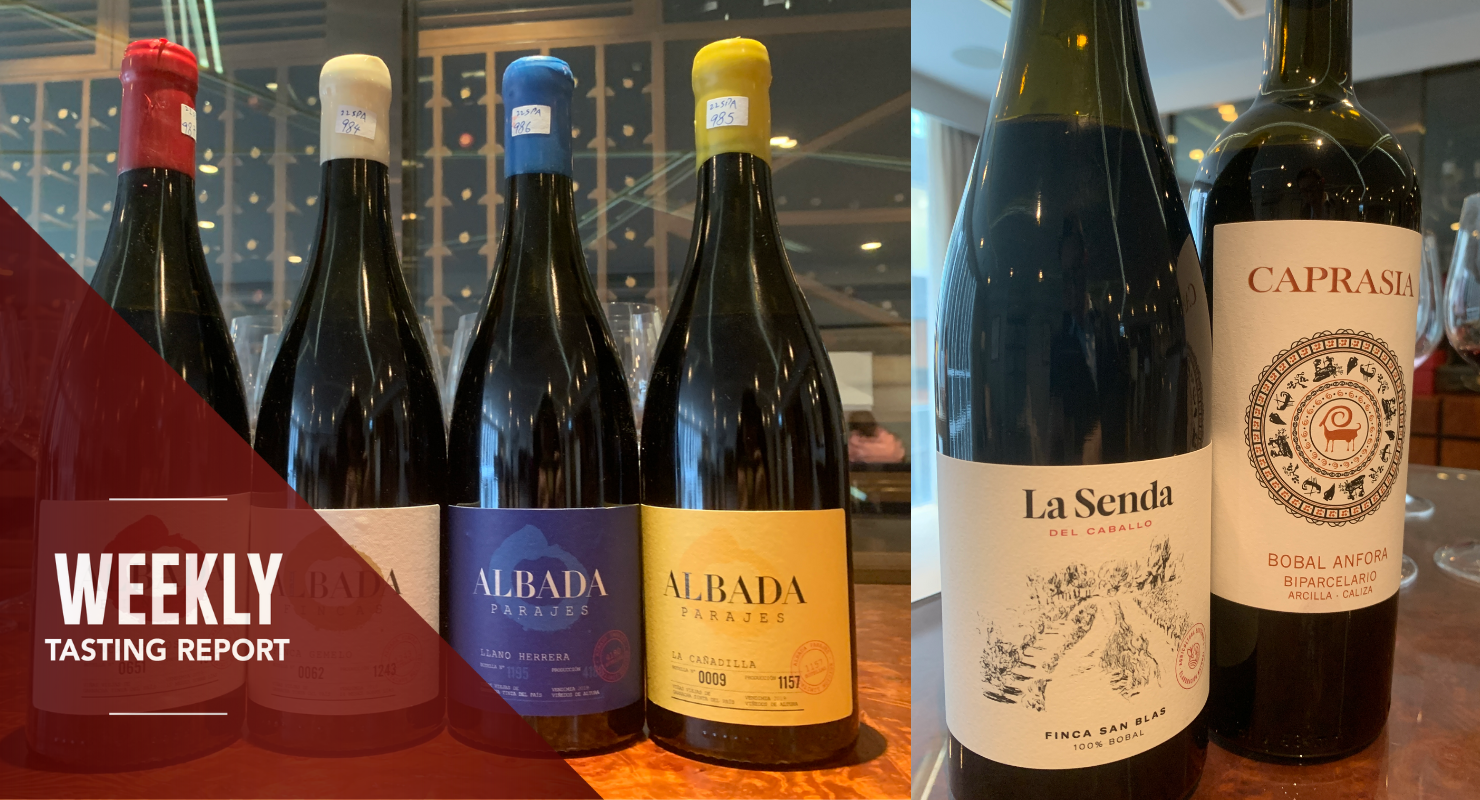 Thirst-Quenching Greatness from Spain, Plus Hungary’s Wine Renaissance: Weekly Tasting Report (June 1-7)