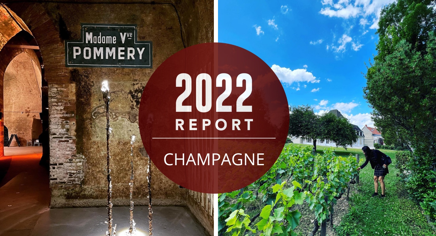 Champagne Annual Report: Terroir and Innovation Keep The Bubbles Flowing