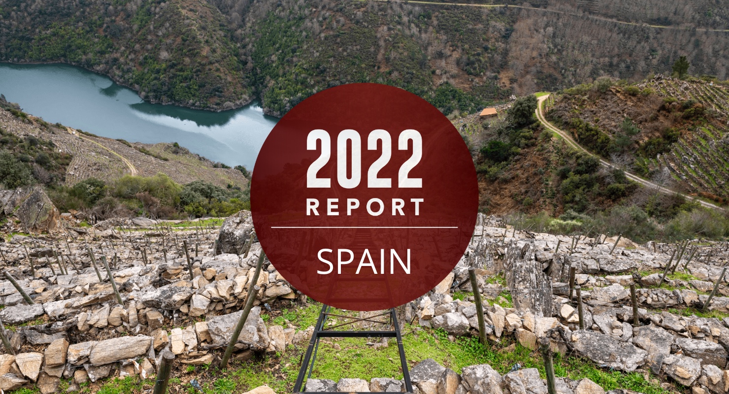 Greatness Rises From Spain’s New Wine Soul: 2022 Annual Report