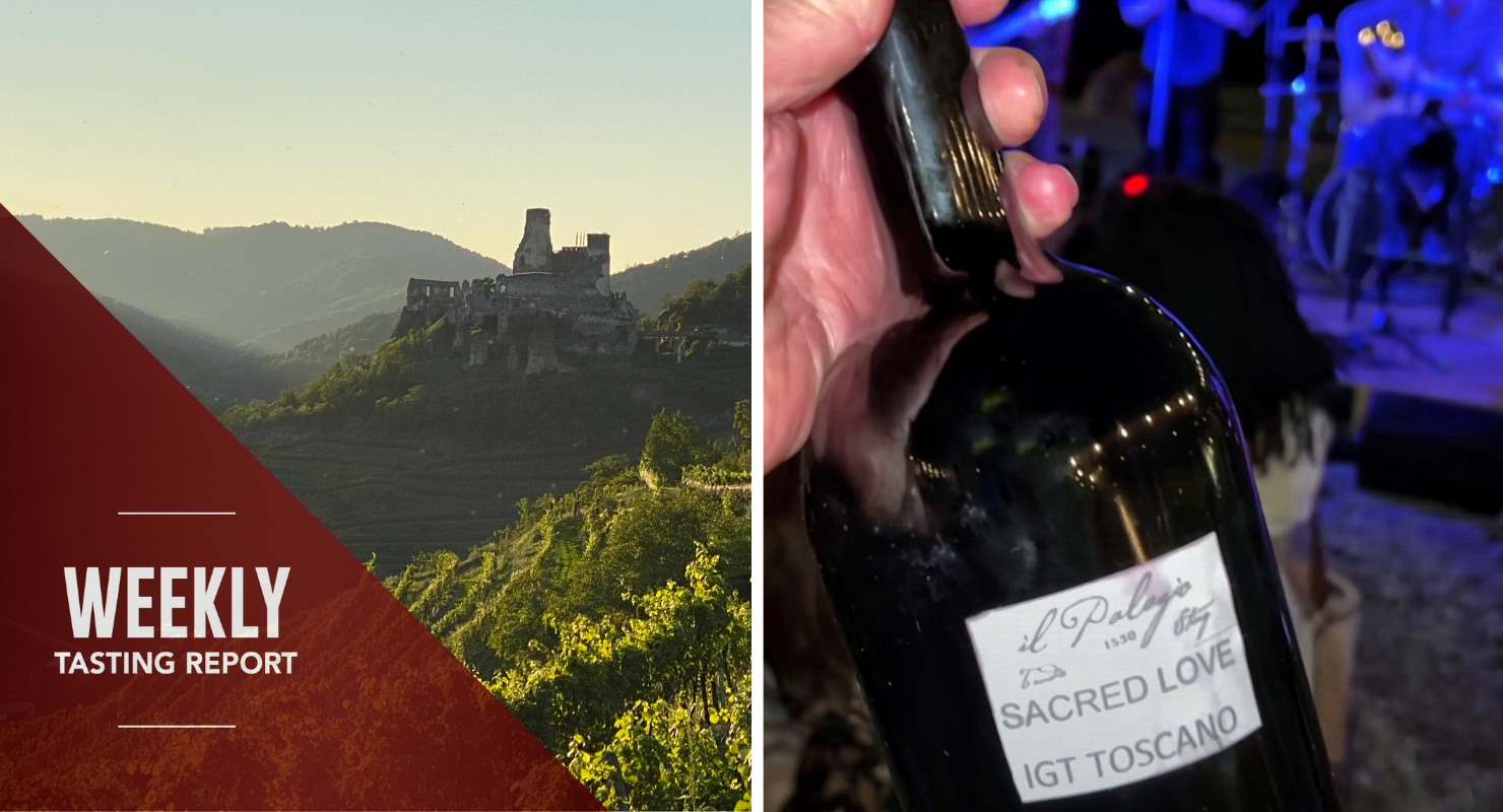 Dazzlers from the Danube and Sting’s Sacred Love: Weekly Tasting Report (Sept 7-13)