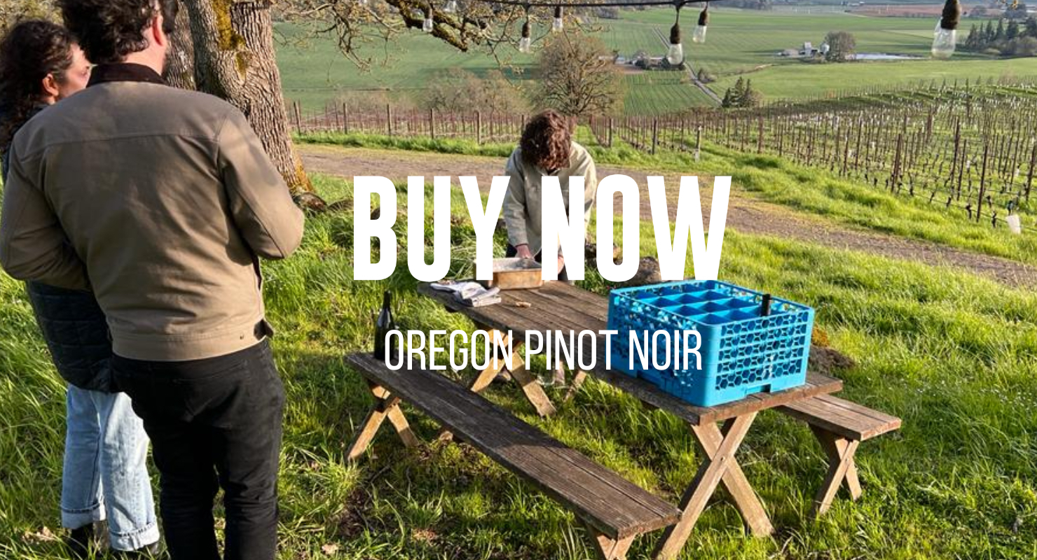 Buy Now: Oregon Pinot Noir