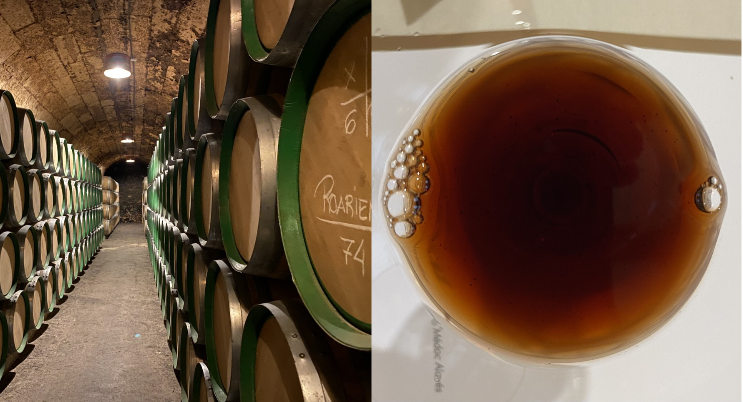 Marques de Riscal Rioja Vertical Tasting: History Astonishes with Vitality in Every Sip