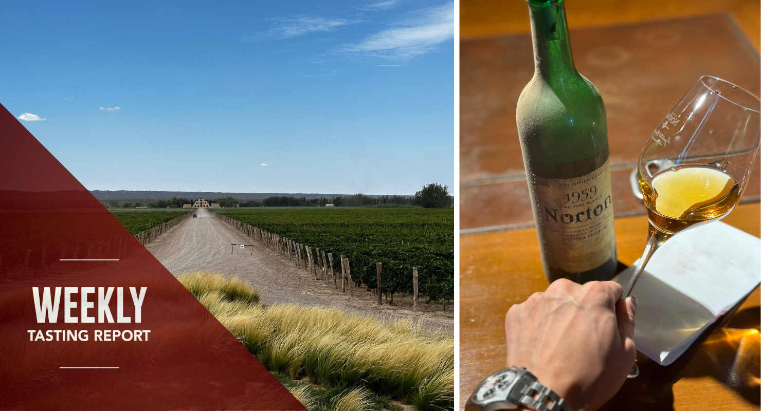 A Stunning Semillon from Argentina and a Bojo Revelation: Weekly Tasting Report (March 1-7)