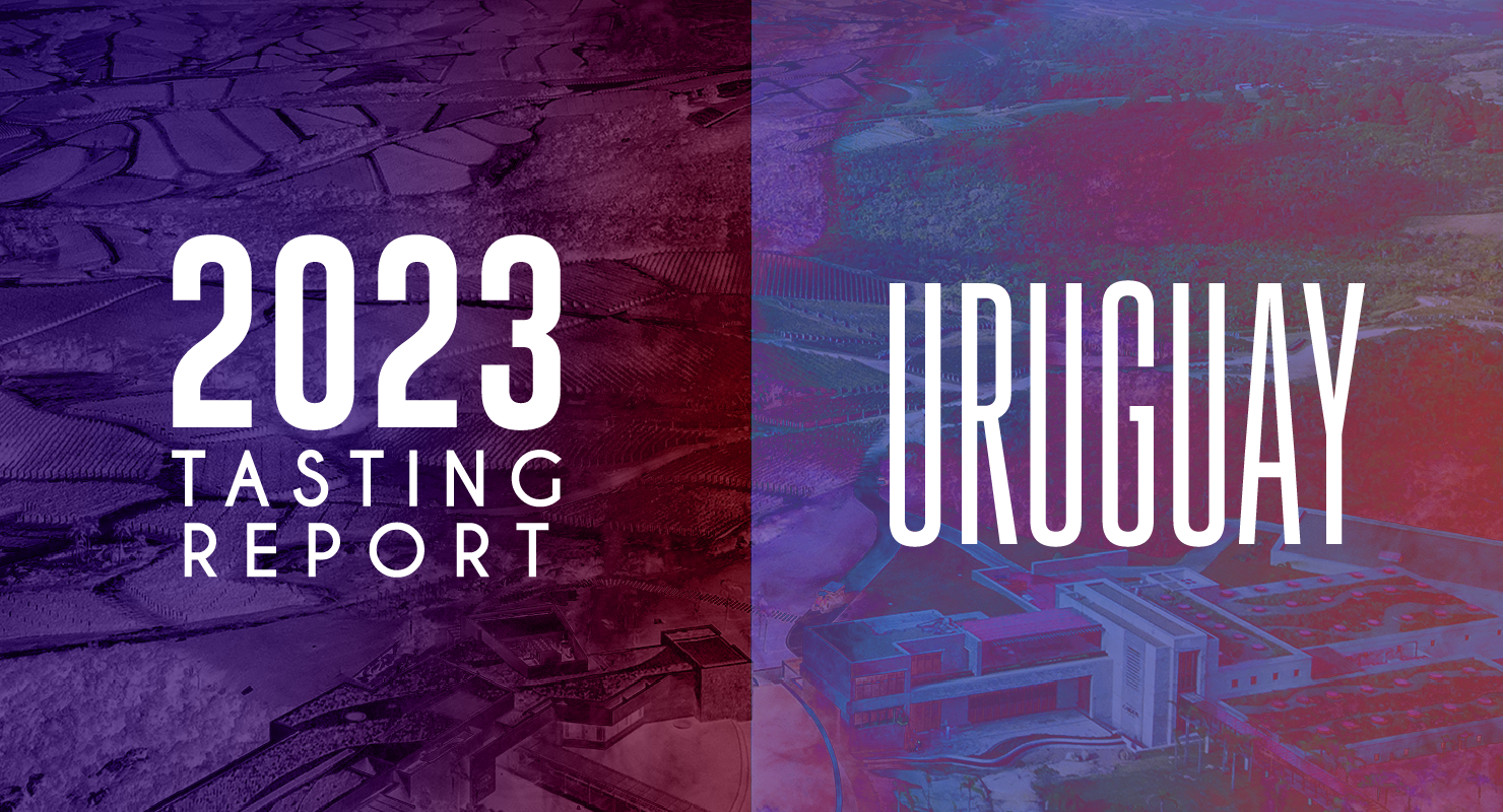 Uruguay Annual Report: Setting a New Standard