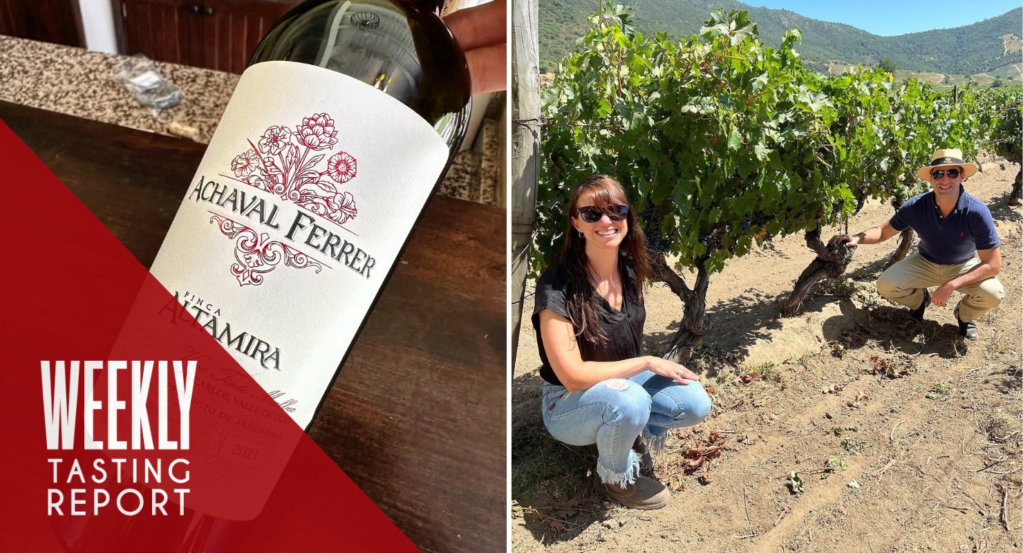 Chile’s 2021 Stunners and the Pfalz’s Radical Terroir Wines: Weekly Tasting Report (Feb 7-13)