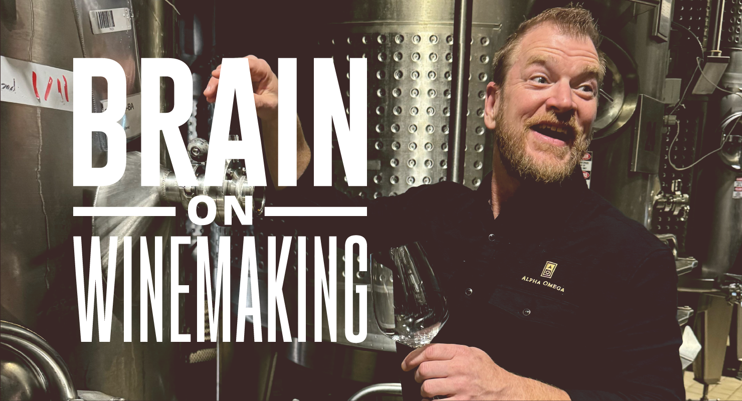 Brain on Winemaking: Mastering Minerality