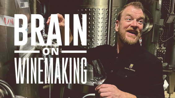 BRAIN ON WINEMAKING: TIMING YOUR HARVEST LIKE A PRO