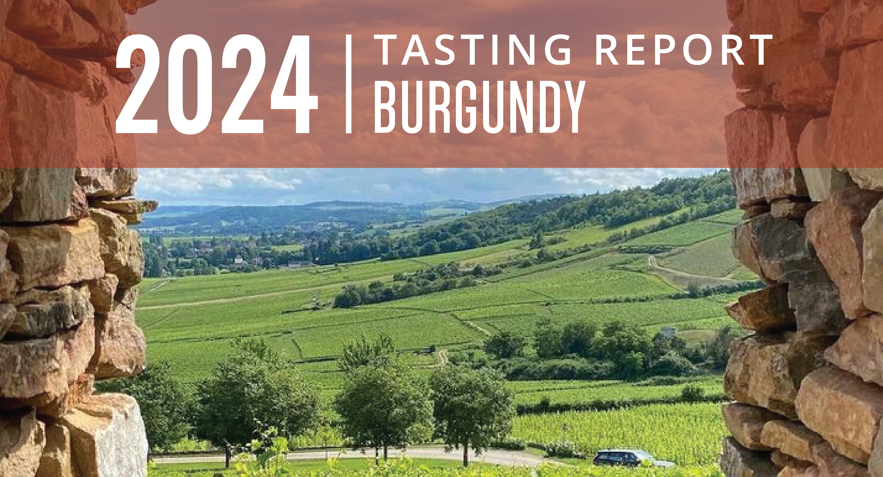 Burgundy 2024 Tasting Report: Beauty and the Beast