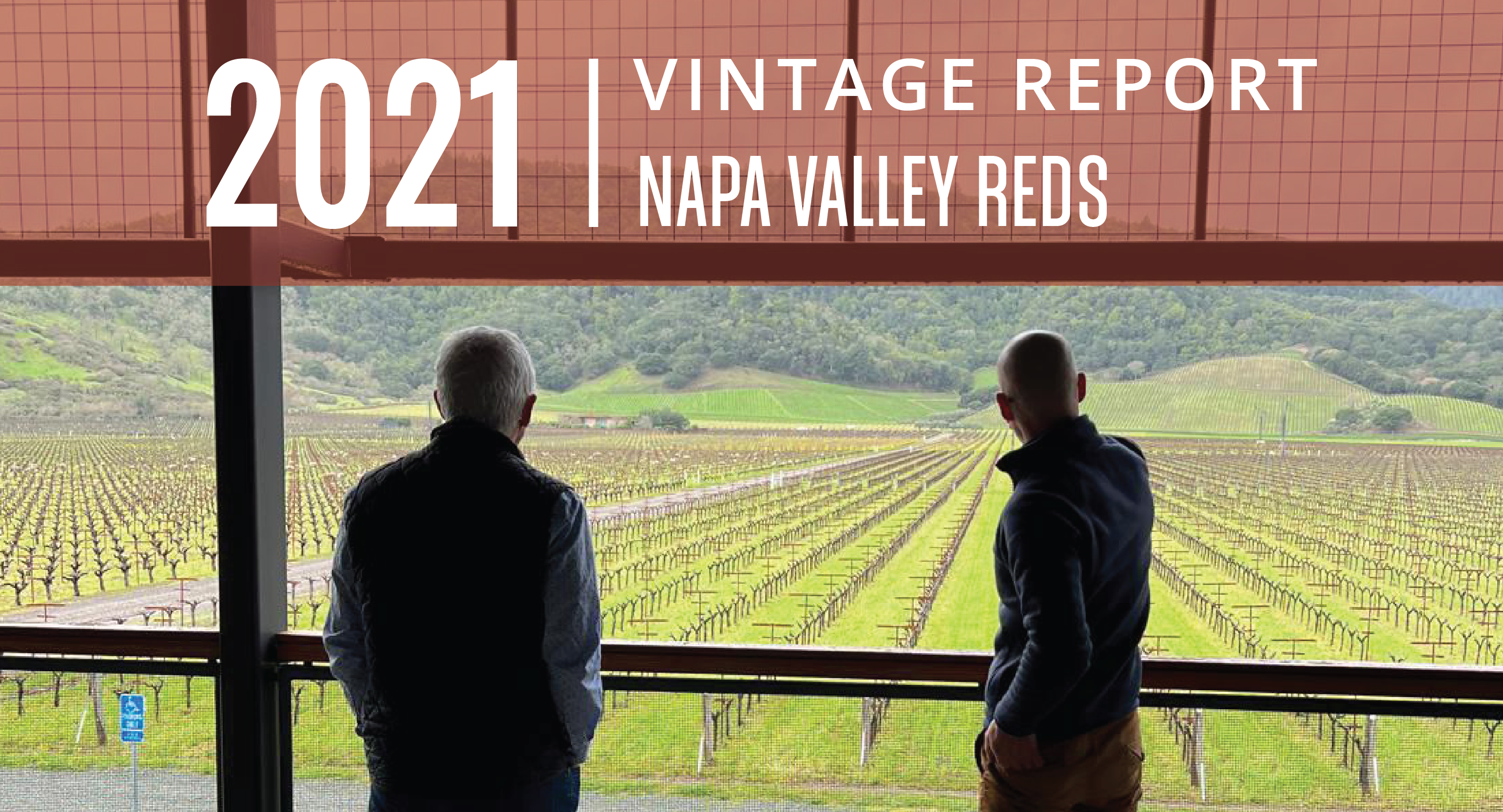 NAPA VALLEY CABS SHINE IN 2021: Apex Vintage in a ‘Redemption’ Year