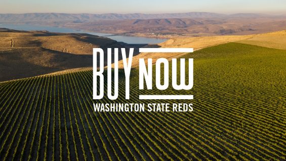 Buy Now: Washington State Reds