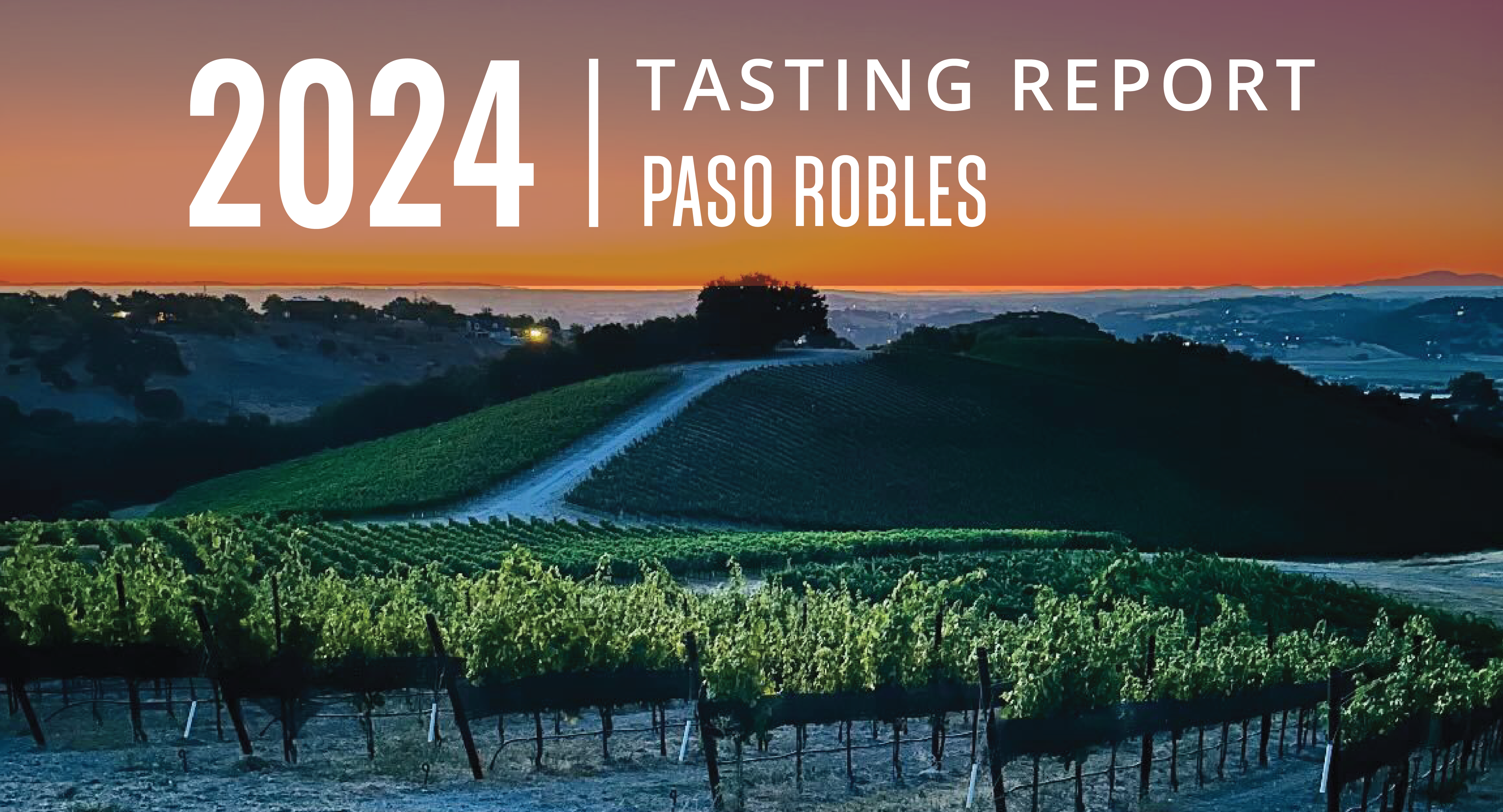 Paso Robles 2024 Tasting Report: Spirited Strokes on a Broad Canvas