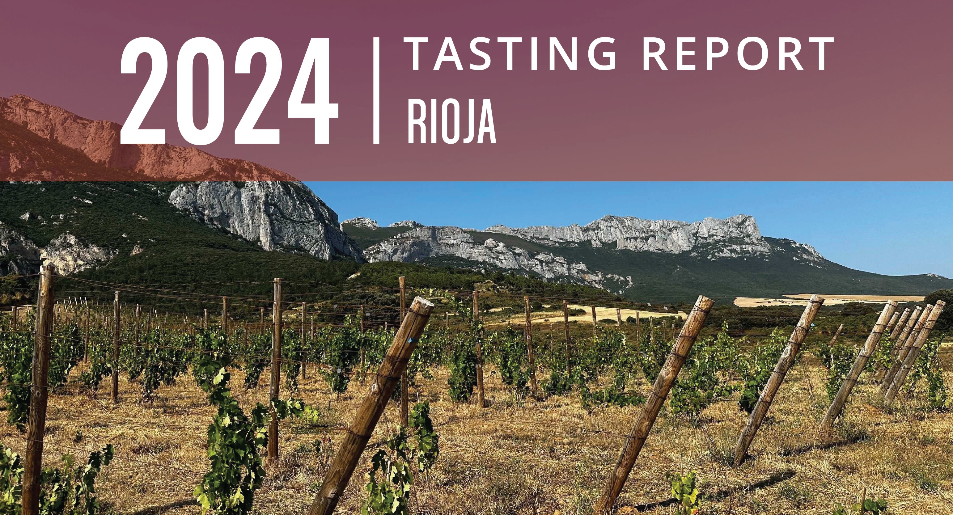 Rioja 2024 Tasting Report: Seizing a New Tradition